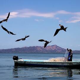 Frigate Birds and Fisherman by James Mayo