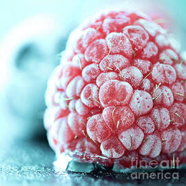 Frosty Fruits on Eis by Elisabeth Derichs