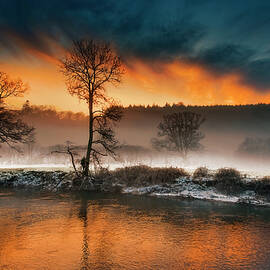 Frosty Tamar River ,Cornwall by Maggie Mccall