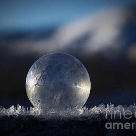 Frozen Bubble 20 by Tanya Stafford