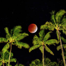 Full Beaver Moon Lunar Eclipse by Sean Davey