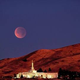 Full Lunar Eclipse by Donna Kennedy