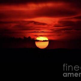 Full Moon Sunset by Alejandra Flores