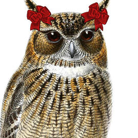 Funny Owl Girl