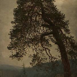 Gammel gudbrandsdol  by Amaldus Nielsen Norwegian