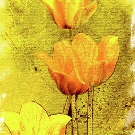 Garden Gold ... by Judy Foote-Belleci