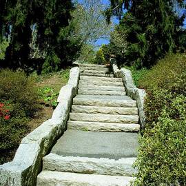 garden stairway to heaven  Biltmore Estate NC by Charlene Cox