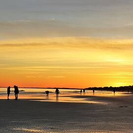 Gathering At Sunset by Carol McGrath