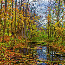 Gentle Stream in the Autumn by Brian Shaw