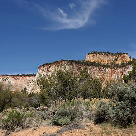 Geologic Features And Surrounding Landscape - East Side Of Zion National Park 3