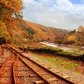 George and Charlotte Copper Mine Train Track, Devon, Engalnd by Maggie Mccall