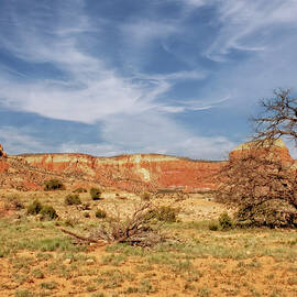 Ghost Ranch by Kay Brewer
