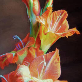 Gladiolus Blooms by Sharon McConnell