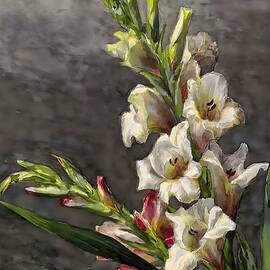 Gladiolus by From Natures Arms