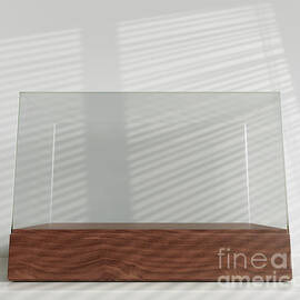 Glass Display Case On Shelf by Allan Swart