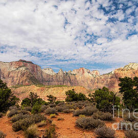 Glorious Views from Watchman Trail Zion National Park by Wayne Moran