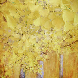 Glory of the Ginkgo by Terry Davis