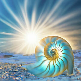Glowing Nautilus by Donna Kennedy