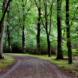 Going round the bend in the October forest by Juergen Hess