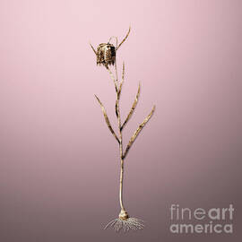 Gold Chess Flower on Rose Quartz n.00093 by Holy Rock Design