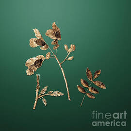 https://render.fineartamerica.com/images/images-new-artwork/images/artworkimages/medium/3/gold-pistachio-on-dark-spring-green-n01920-holy-rock-design.jpg