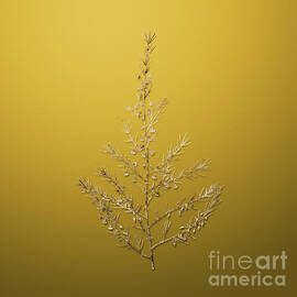 Gold Sea Asparagus on Mango Yellow n.01287 by Holy Rock Design