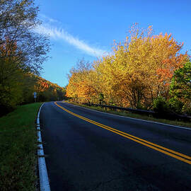 Golden Curves on Talimena Scenic Drive by Judy Vincent
