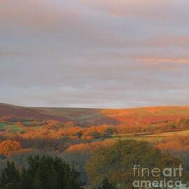 Golden Glow Of Morning - Ugborough Beacon, Devon by Lesley Evered