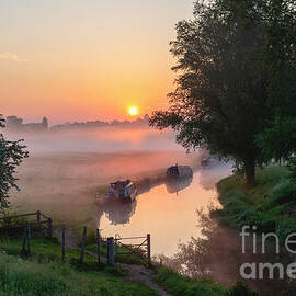 Golden Misty Sunrise by Tim Gainey
