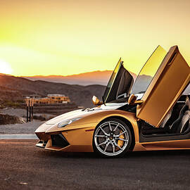 Golden Outdoors by Tec Nificent
