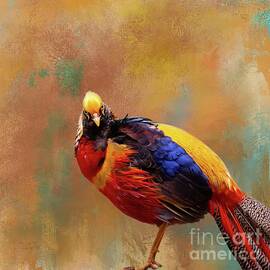 Golden Pheasant by Eva Lechner