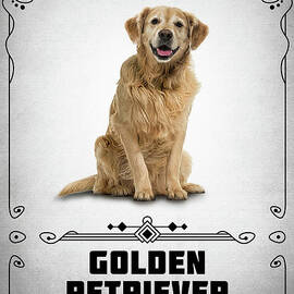 Golden Retriever by Bo Kev