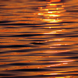 Golden Ripples by Erin O'Keefe