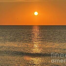 Golden Sunrise Over Tranquil Sea by Catherine Wilson