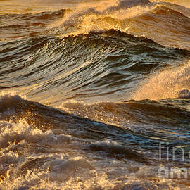 Golden Wave Tops by Debra Banks