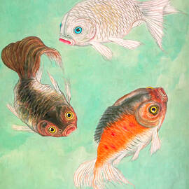 Goldfish of China by Susan Hope Finley