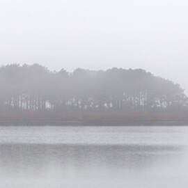 Gordons Pond Fog by Francis Sullivan