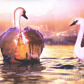 Grace like Swans by Bonnie Marie
