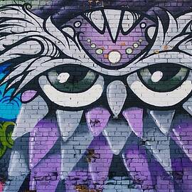Graffiti-Wall-Owl-Art by Maciek Froncisz