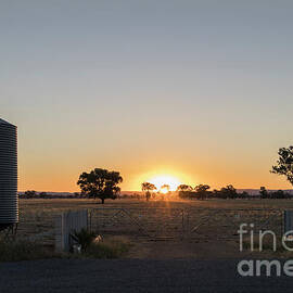 Grain at the Gate by Linda Lees