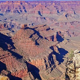Grand Canyon Panorama by Anthony Sacco