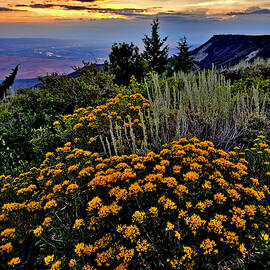Grand Mesa Sunset at Land's End  by Ray Mathis