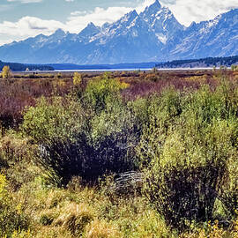 Grand Teton Park 48 by Frank Barnitz