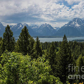 Grand Tetons From Signal Mountain by Suzanne Luft