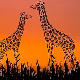 Grassland With Giraffes Roaming