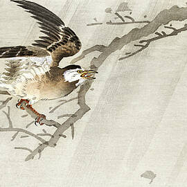 Gray starling in storm by Ohara Koson