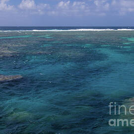 Great Barrier Reef by Suzanne Luft