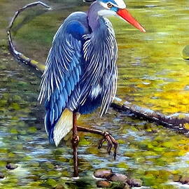 Great Blue Heron by Pechez Sepehri
