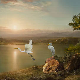 Great Egrets at Twilight  by Spadecaller