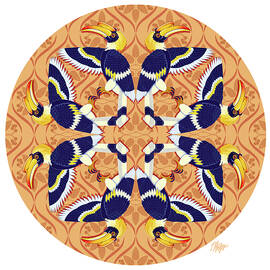 Great Hornbill India Orange Mandala by Tim Phelps
